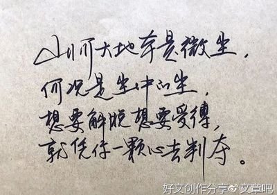影评 个性经典的句子