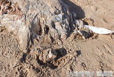 关于七米唐名言