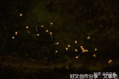 冷月无边经典的句子