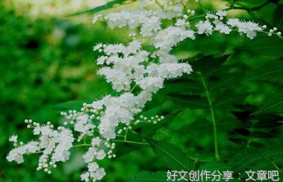 《曾国藩》的句子