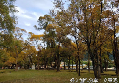 有关美句良言的句子