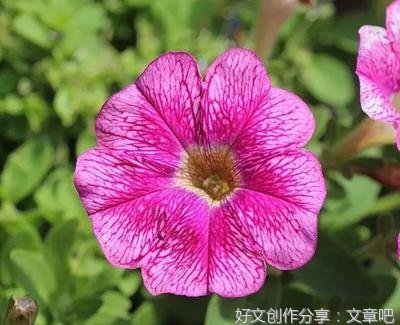关于句子的唯美语录