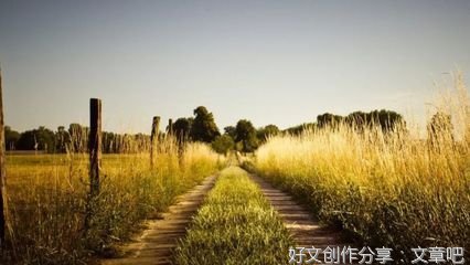 说爱你优美的句子