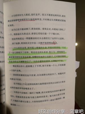 最新的《羊道·春牧场》经典句子