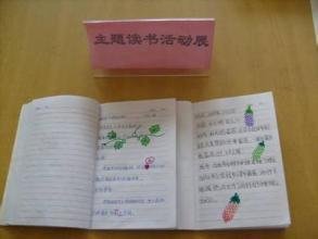《看见鹿》读后感摘抄