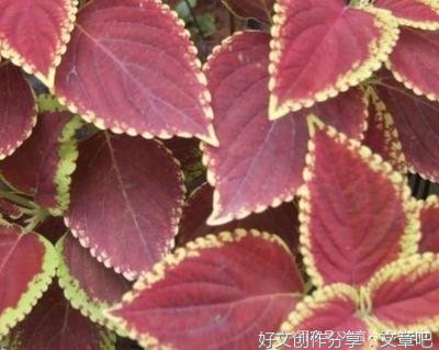关于方向的句子