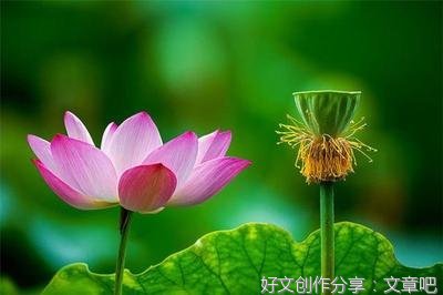 坚持经典的句子