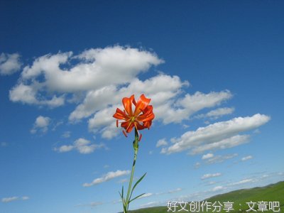 关于句子的座右铭
