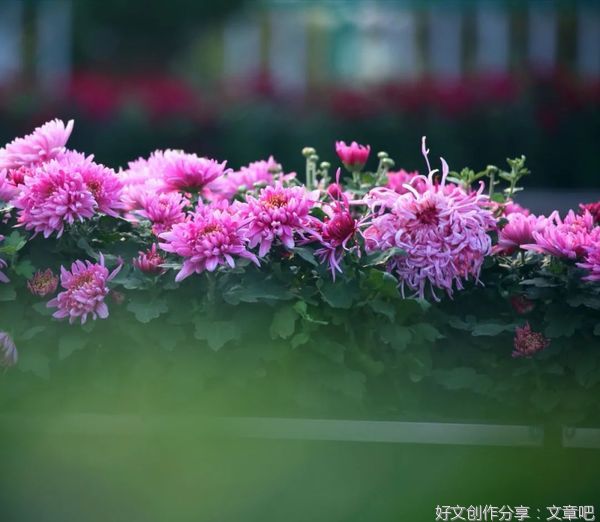 人生这趟旅行，安心就好