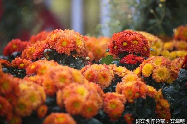 人生这趟旅行，安心就好