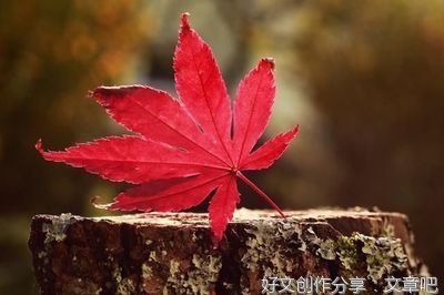 关于芝兰之交的优美句子