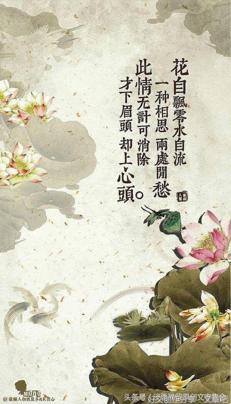有关君且看的句子