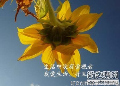 关于句子的座右铭