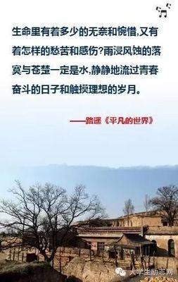 最经典的《the saltwater room》经典语录