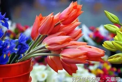 关于句子的唯美语录