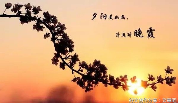 句子的句子