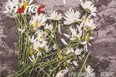 爱情名句欣赏