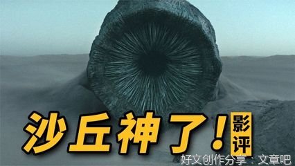 《沙丘战将》经典影评有感