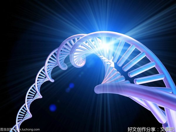 2021倪晓龙经典名句
