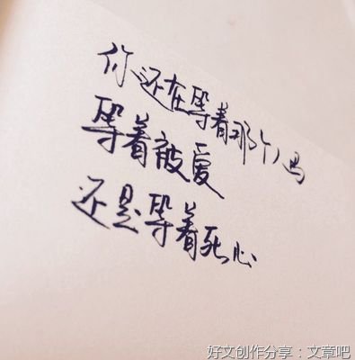 《一个人的天光》经典句子大全