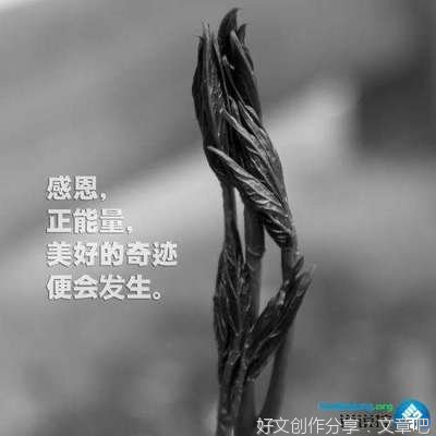最经典的《一个人，也好》小说摘抄大全