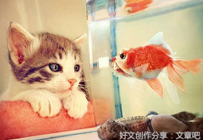 为爱经典名句