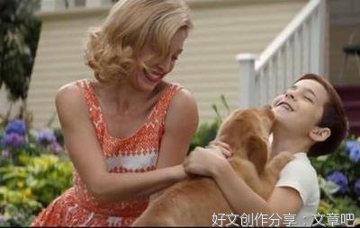 最经典的《一条狗的使命》经典语录大全