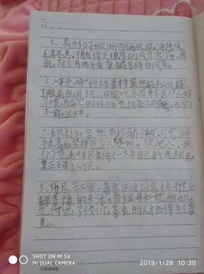 DK了不起的数学思维读后感摘抄