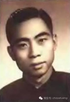 《八宝辣酱》的读后感大全