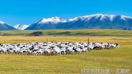 《羊群的共识》读后感摘抄
