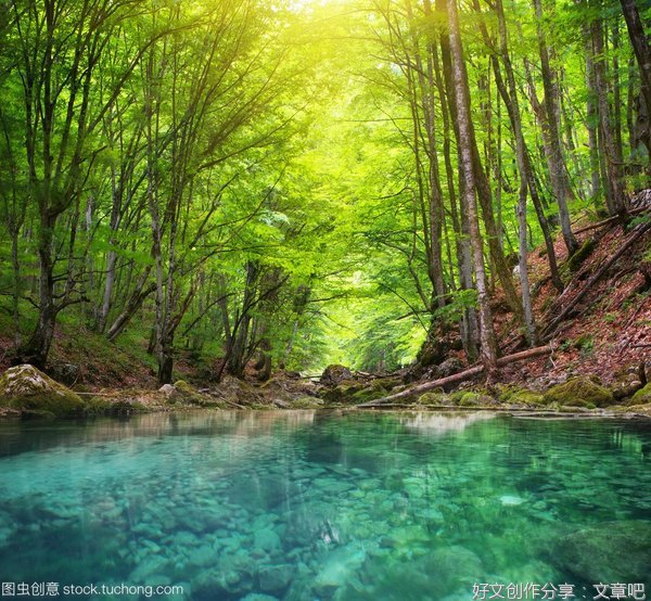 山林间读后感精选