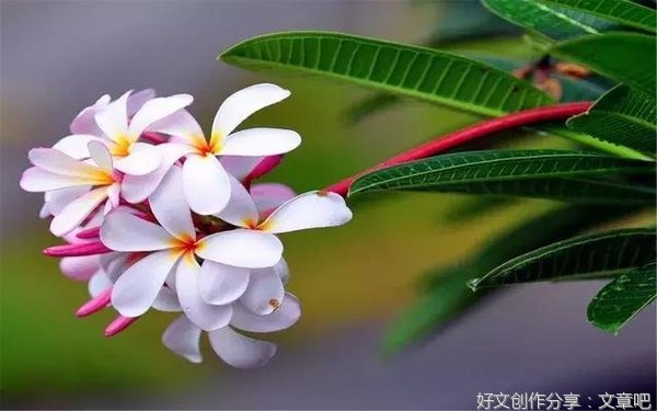 关于读后感的唯美语录
