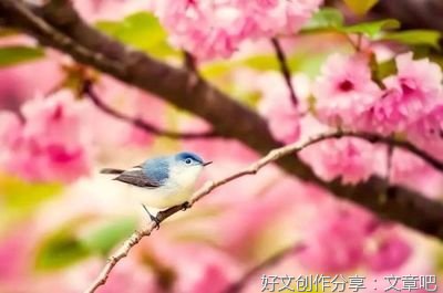 大老师名句句子