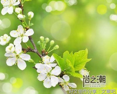 可以用做个签的短句啊•̀.̫•́✧经典名句