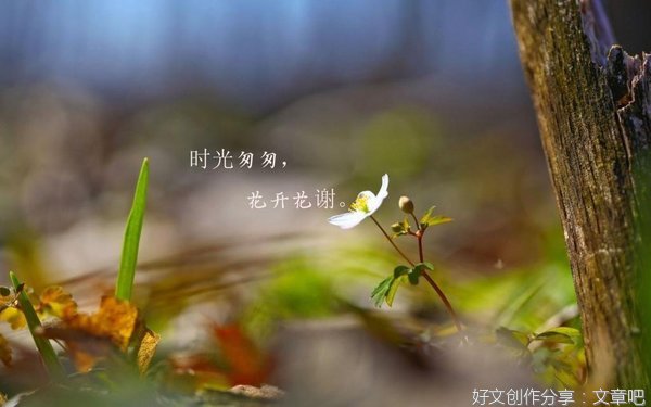 认为正确的经典的句子