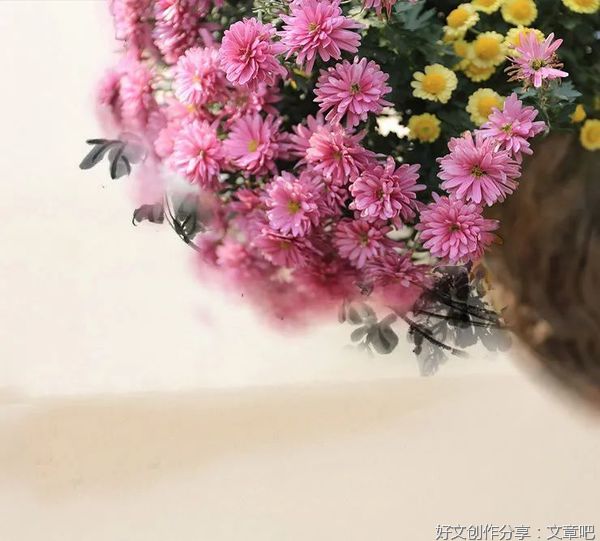 轻轻地，和秋天说再见