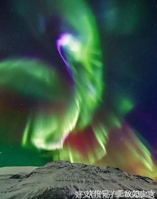 《幻之光》经典读后感有感