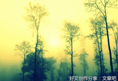 我的句库的优美句子
