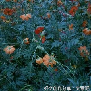 有关12.26的句子