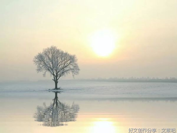 王阳明：心若光明，万物生长