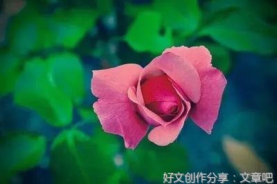 有关怦然心动的句子