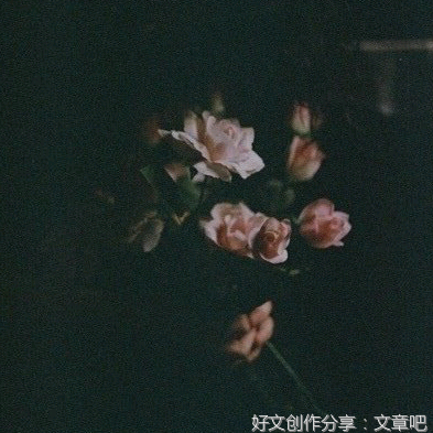 寺山修司的句子