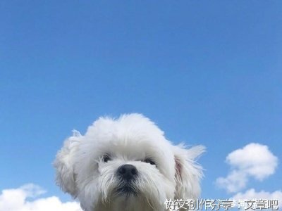 故人故事句子大全