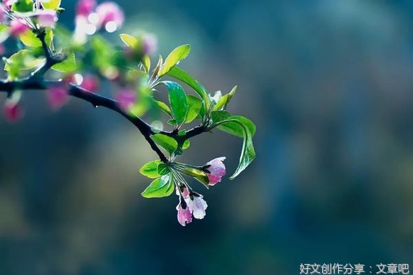 不攀不比，好好活自己