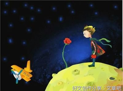 《《朝向一朵花的盛开》》读后感精选