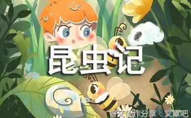《你怎么可以这么甜》的读后感大全