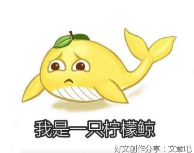 《其他》的句子