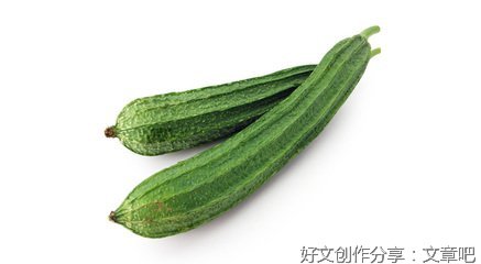 重返美丽新世界读后感摘抄