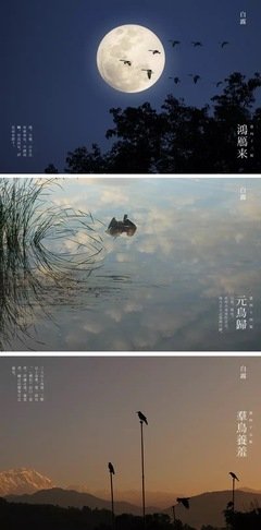 一段小诗/有意思的话