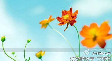 《爱情滋味》观后感摘抄